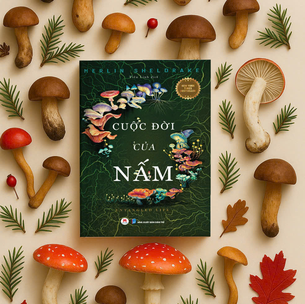 Cuộc Đời Của Nấm - Entangled Life - Ảnh 3