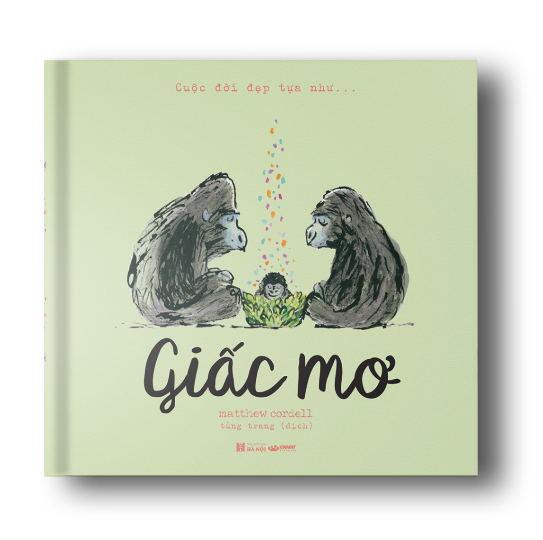 cuộc đời đẹp tựa như … giấc mơ - bìa cứng - Ảnh 2