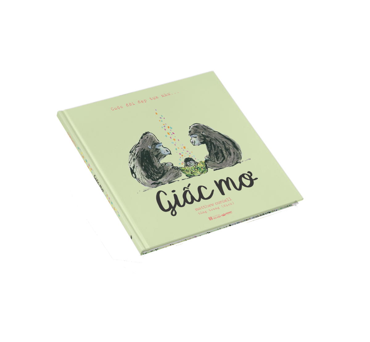 cuộc đời đẹp tựa như … giấc mơ - bìa cứng - Ảnh 6