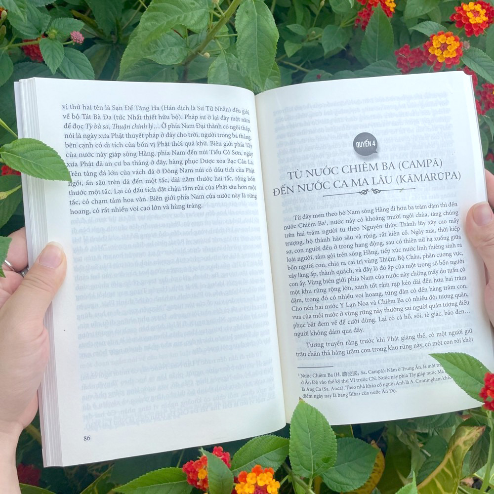 cuộc đời và sự nghiệp của đại sư huyền trang - Ảnh 3