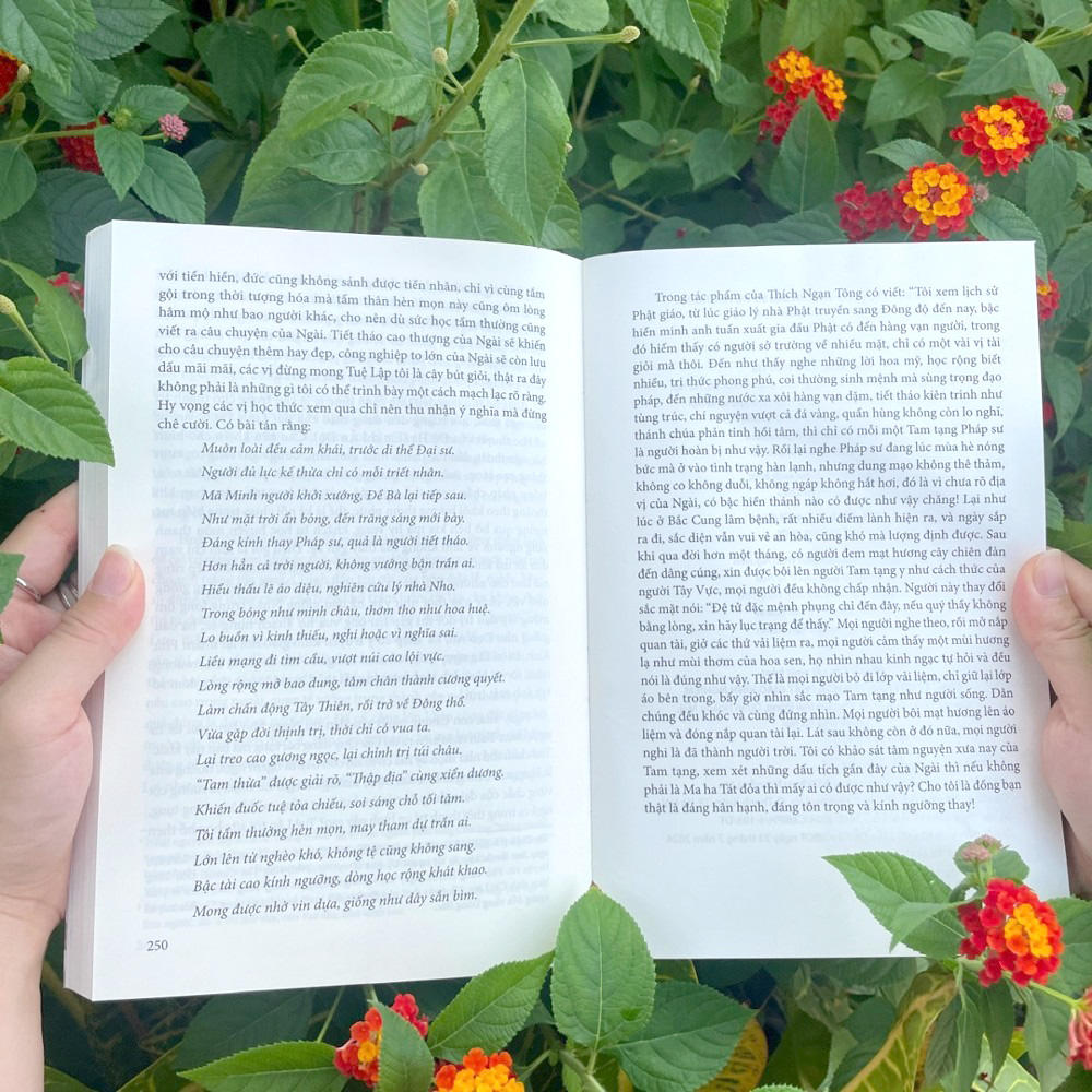 cuộc đời và sự nghiệp của đại sư huyền trang - Ảnh 5