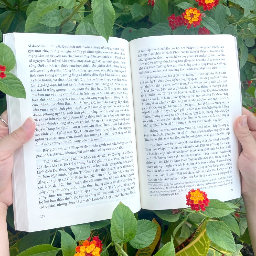 cuộc đời và sự nghiệp của đại sư huyền trang - Ảnh 6