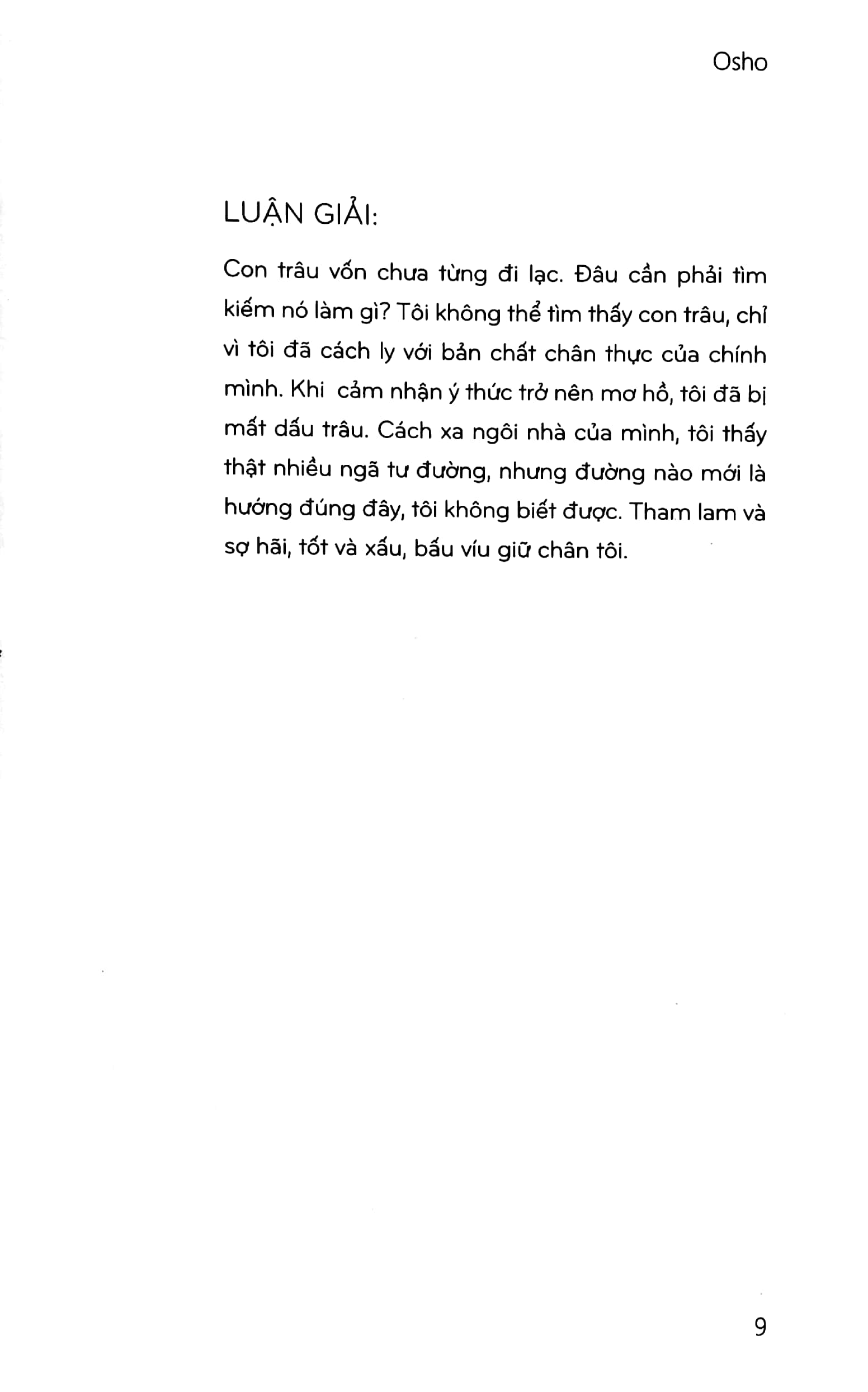 cuộc hành hương nội tại - Ảnh 6