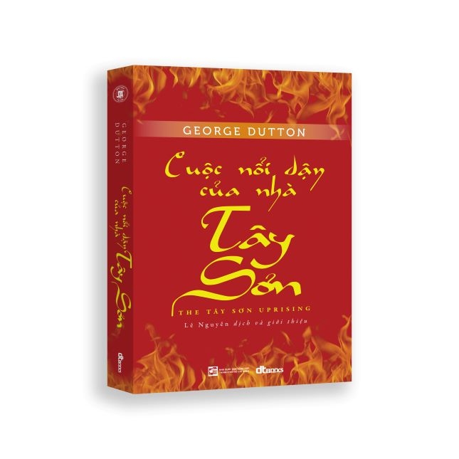 cuộc nổi dậy của nhà tây sơn - Ảnh 2