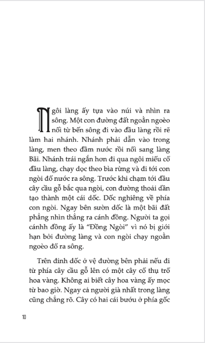 Cuộc Phiêu Lưu Của Dũng Sĩ Áo Vàng - Ảnh 6