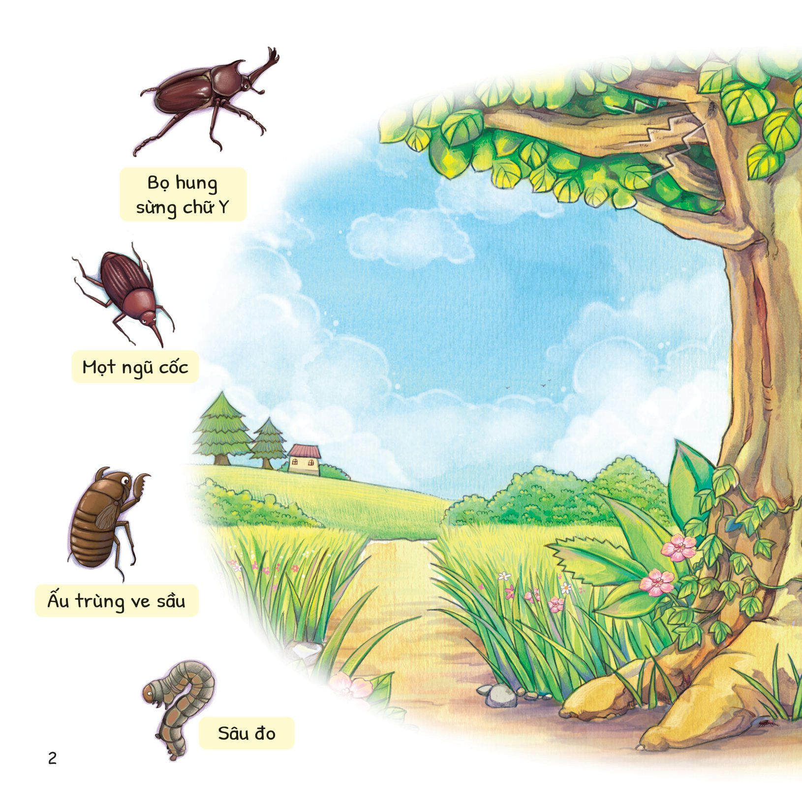 cuộc phiêu lưu của mèo tí hon - trong bụi cây - Ảnh 3