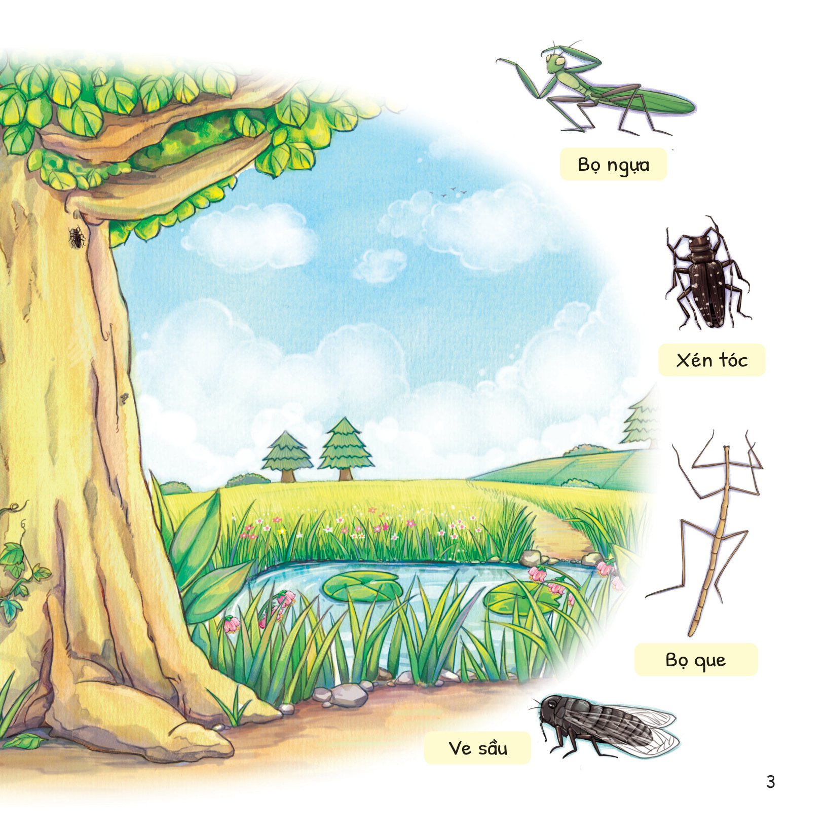 cuộc phiêu lưu của mèo tí hon - trong bụi cây - Ảnh 4