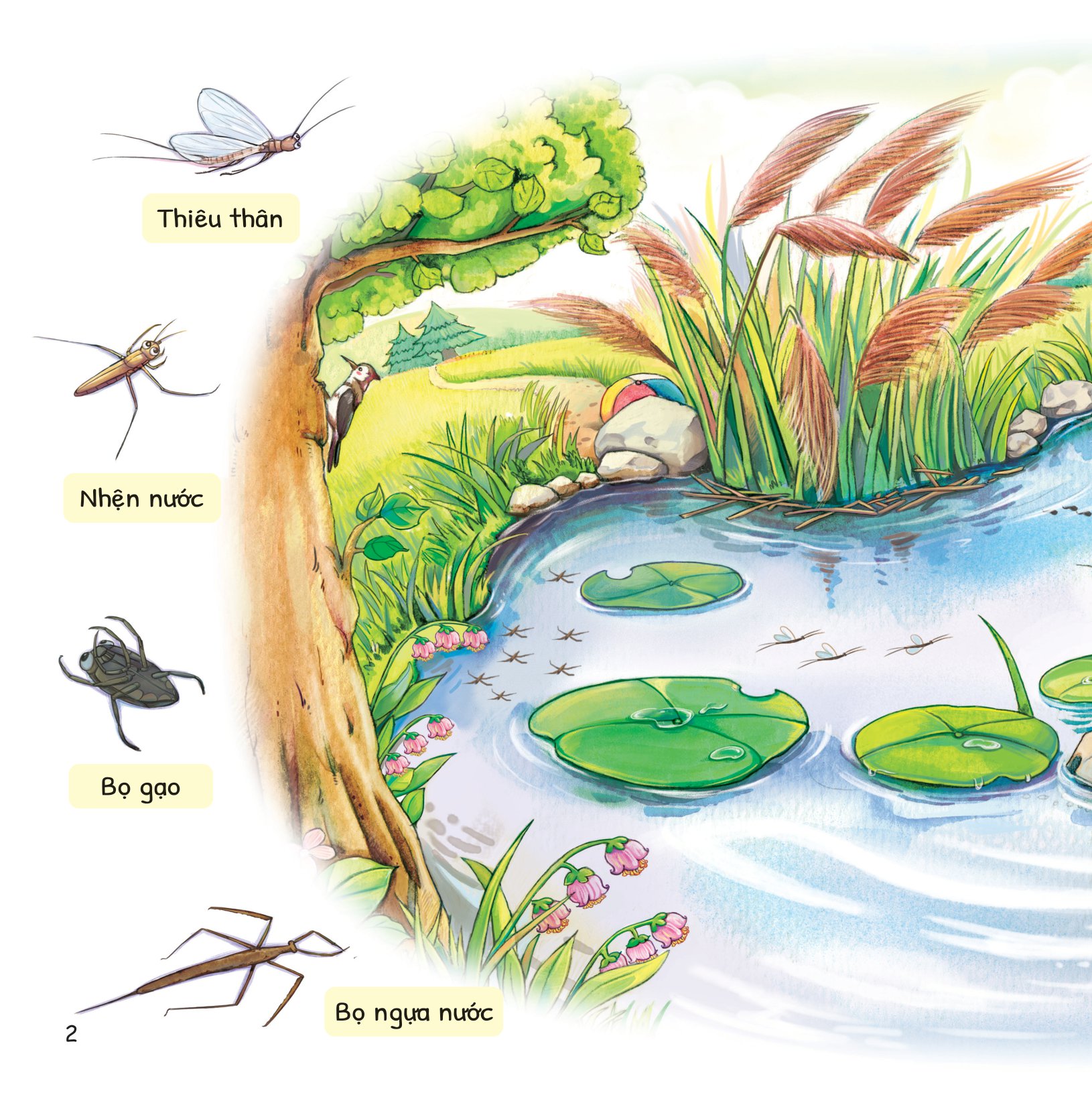 cuộc phiêu lưu của mèo tí hon - trong hồ nước - Ảnh 3