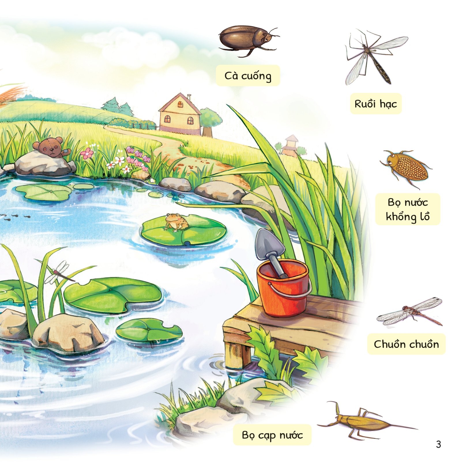cuộc phiêu lưu của mèo tí hon - trong hồ nước - Ảnh 4