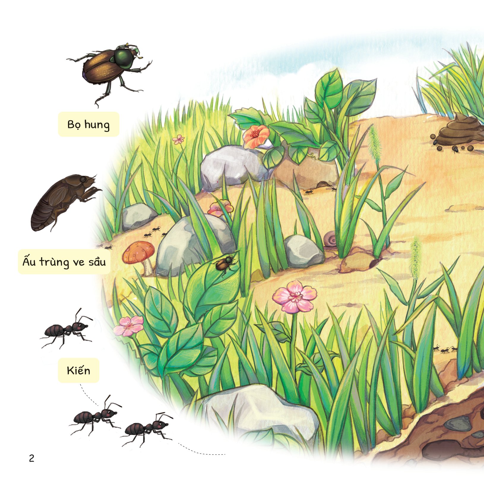 cuộc phiêu lưu của mèo tí hon - trong lòng đất - Ảnh 3