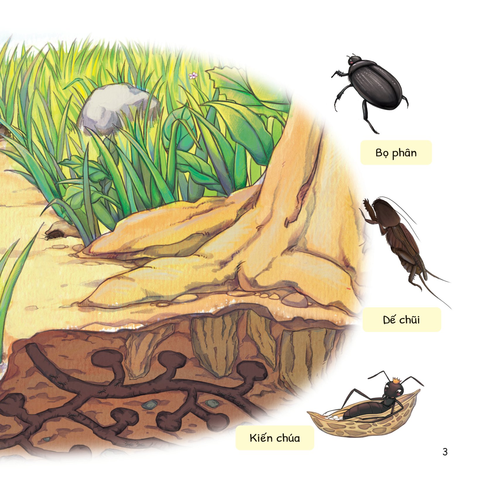 cuộc phiêu lưu của mèo tí hon - trong lòng đất - Ảnh 4