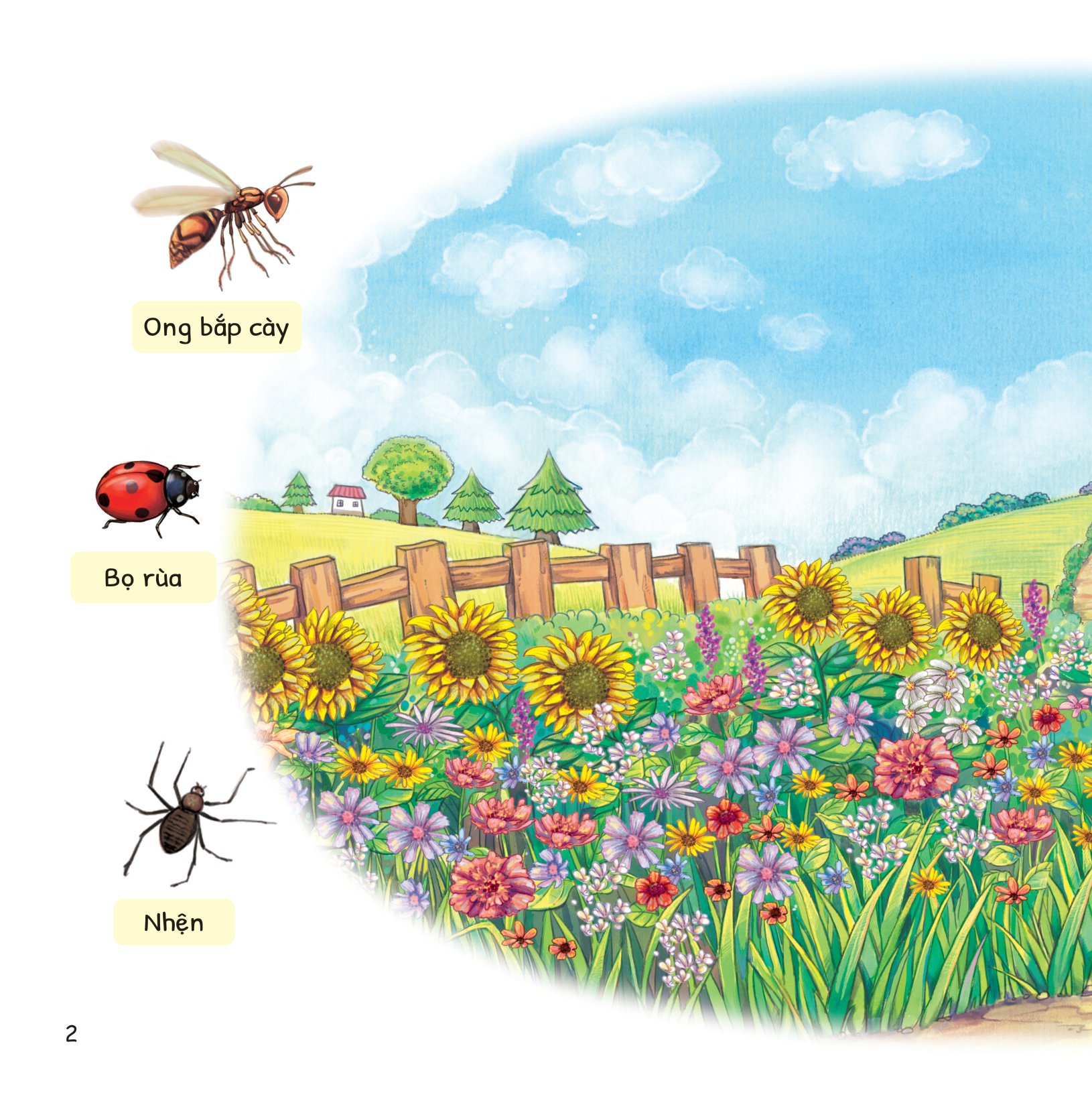 cuộc phiêu lưu của mèo tí hon - trong vườn - Ảnh 3