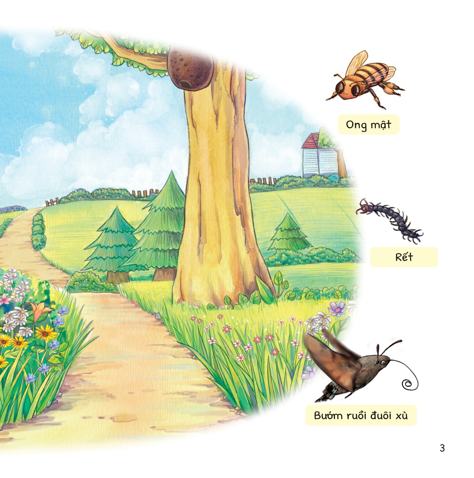 cuộc phiêu lưu của mèo tí hon - trong vườn - Ảnh 4