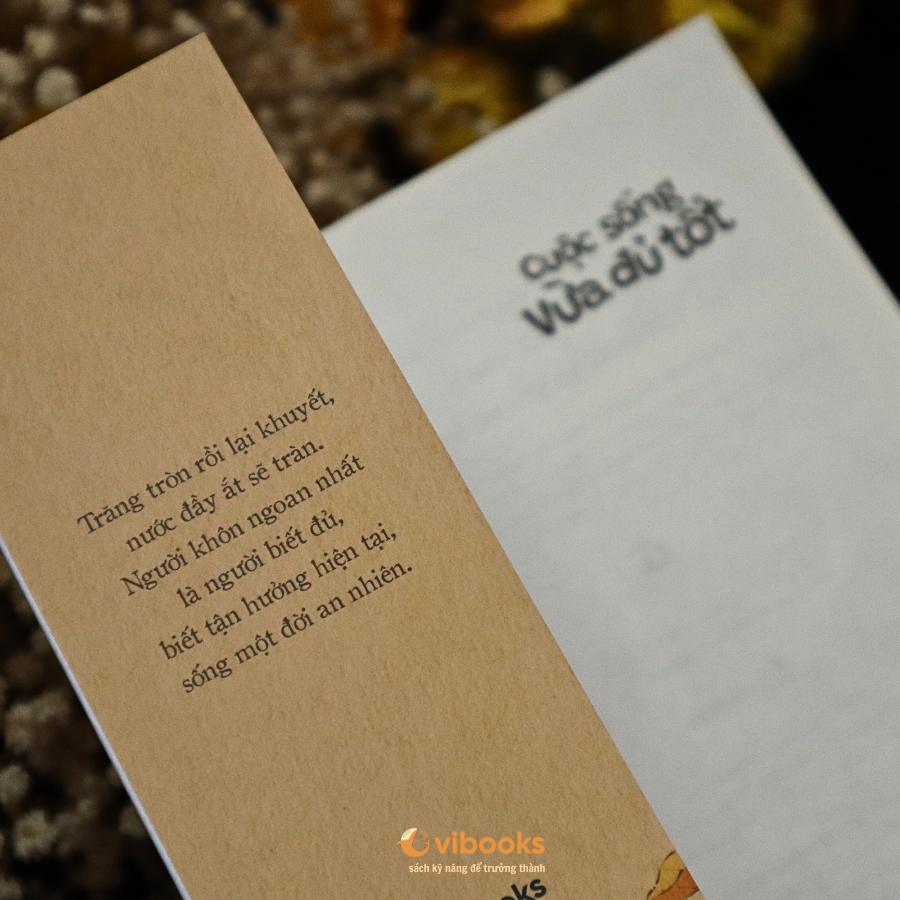 Cuộc Sống Vừa Đủ Tốt - Ảnh 7