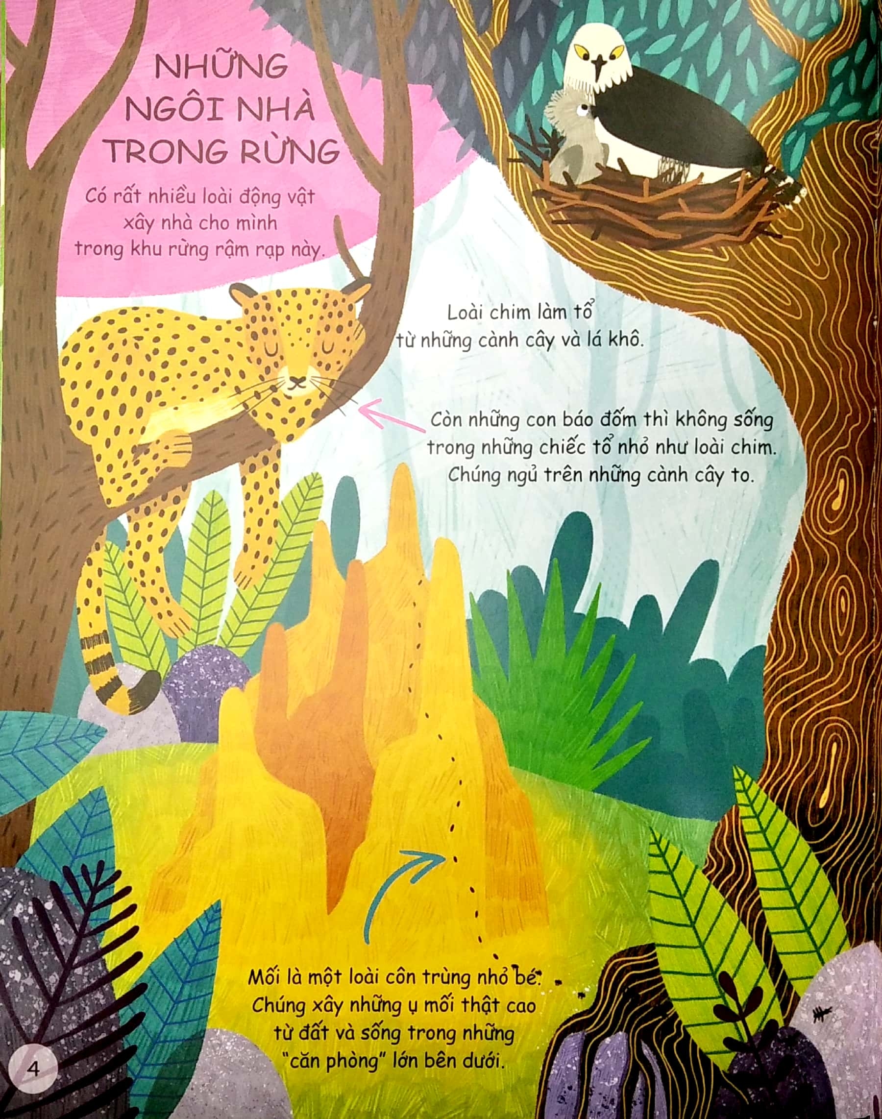 cuốn sách đầu đời của bé - khám phá động vật hoang dã - Ảnh 4