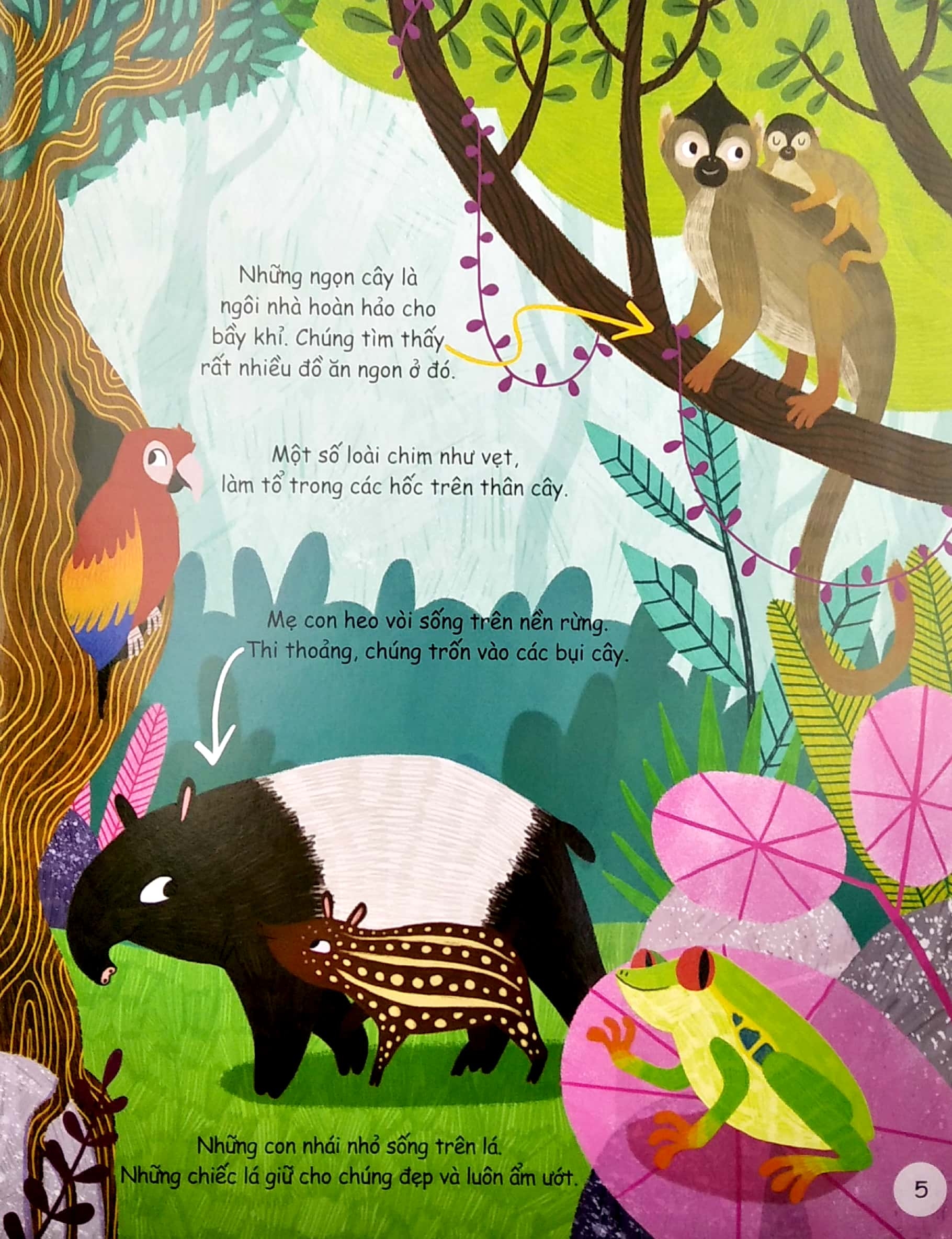 cuốn sách đầu đời của bé - khám phá động vật hoang dã - Ảnh 5