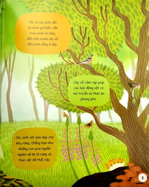 cuốn sách đầu đời của bé - khám phá sinh vật rừng - Ảnh 5