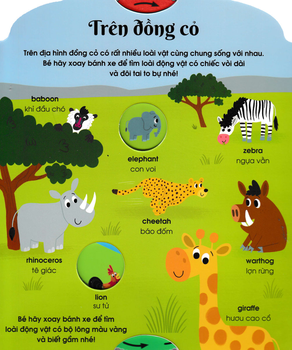 Cuốn Sách Đầu Tiên Của Bé - Động Vật (Dành Cho Bé Từ 3-5 Tuổi) - Ảnh 5