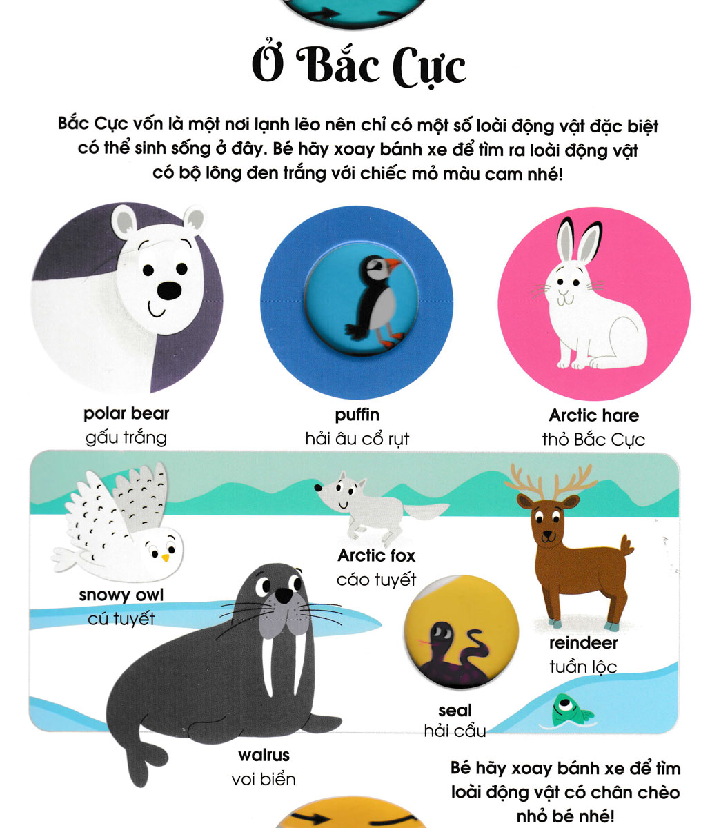 Cuốn Sách Đầu Tiên Của Bé - Động Vật (Dành Cho Bé Từ 3-5 Tuổi) - Ảnh 6