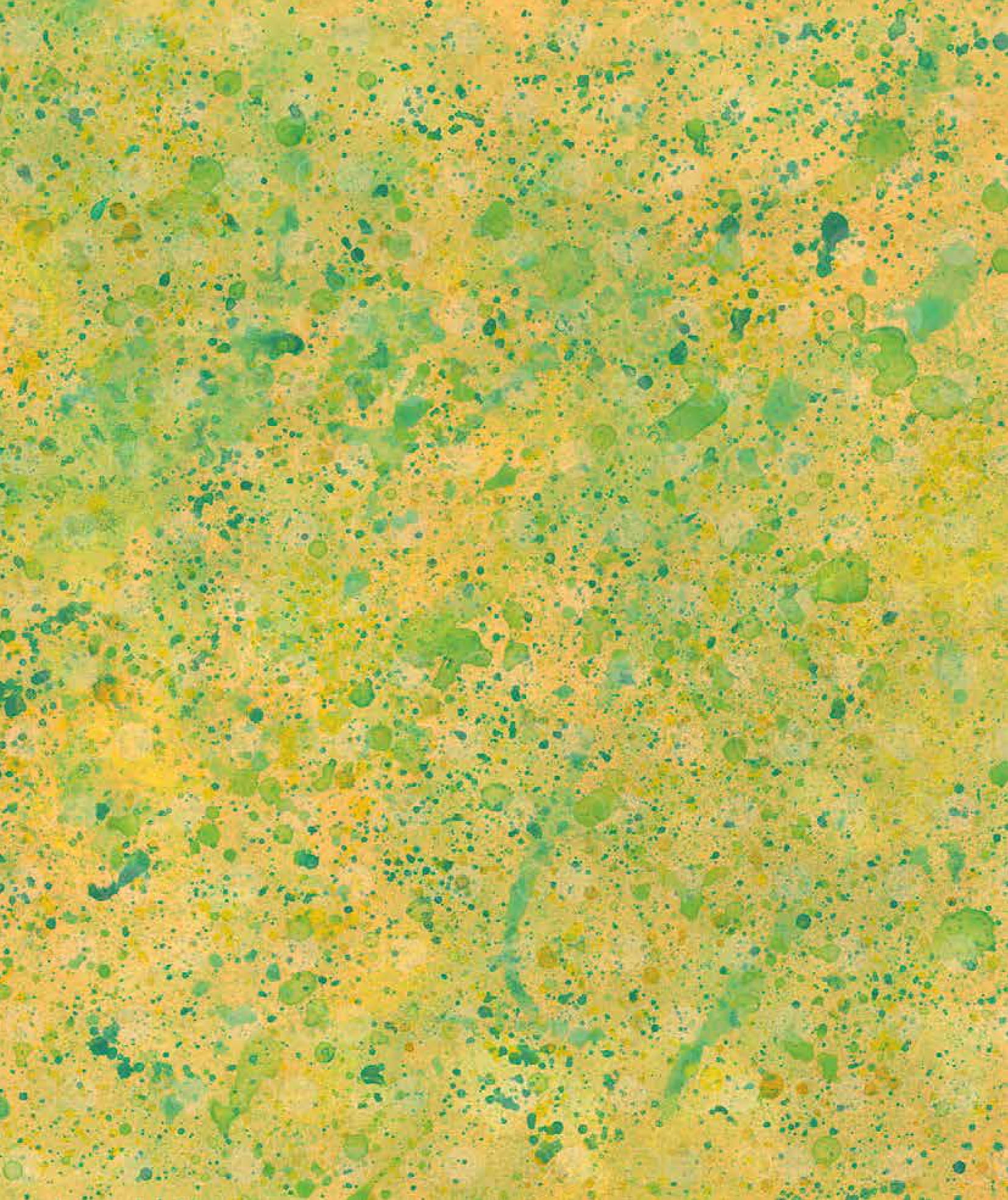 cuốn sách khoa học đầu tiên dành cho học sinh tiểu học - câu chuyện về lịch sử loài người - Ảnh 2