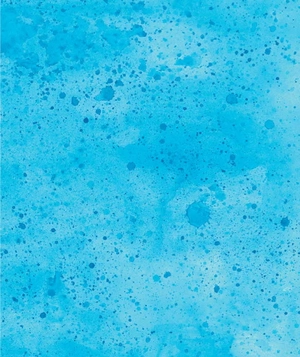 cuốn sách khoa học đầu tiên dành cho học sinh tiểu học - câu chuyện về sự sống trên trái đất - Ảnh 2