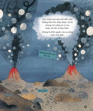 cuốn sách khoa học đầu tiên dành cho học sinh tiểu học - câu chuyện về sự sống trên trái đất - Ảnh 8