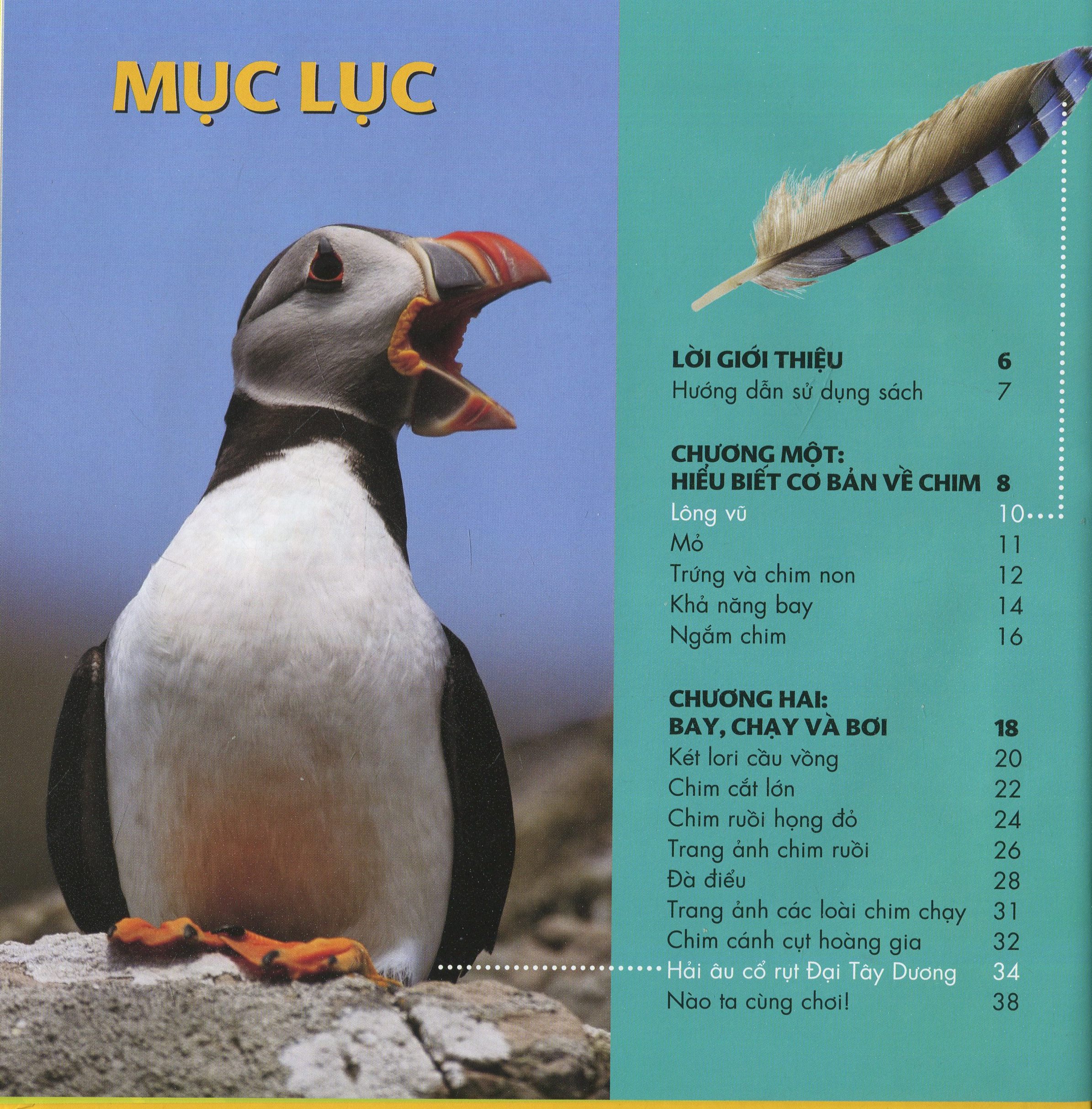 cuốn sách lớn đầu tiên của tớ - chim - bìa cứng (tái bản 2024) - Ảnh 4