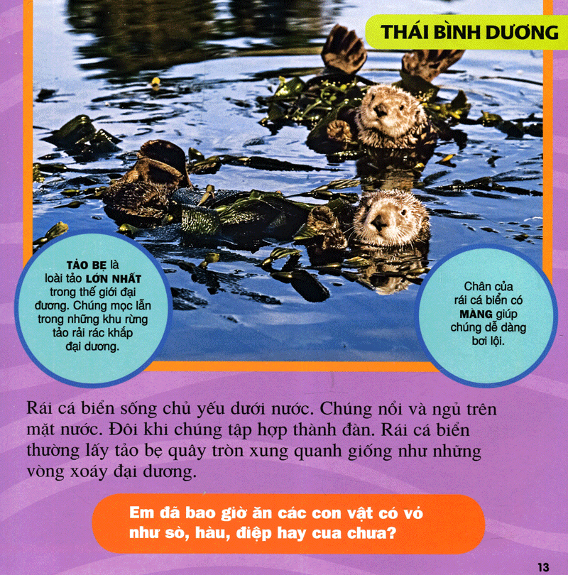 cuốn sách lớn đầu tiên của tớ - đại dương - bìa cứng (tái bản 2024) - Ảnh 10