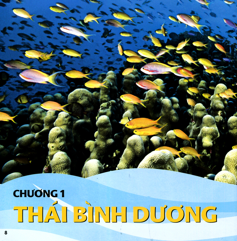 cuốn sách lớn đầu tiên của tớ - đại dương - bìa cứng (tái bản 2024) - Ảnh 5