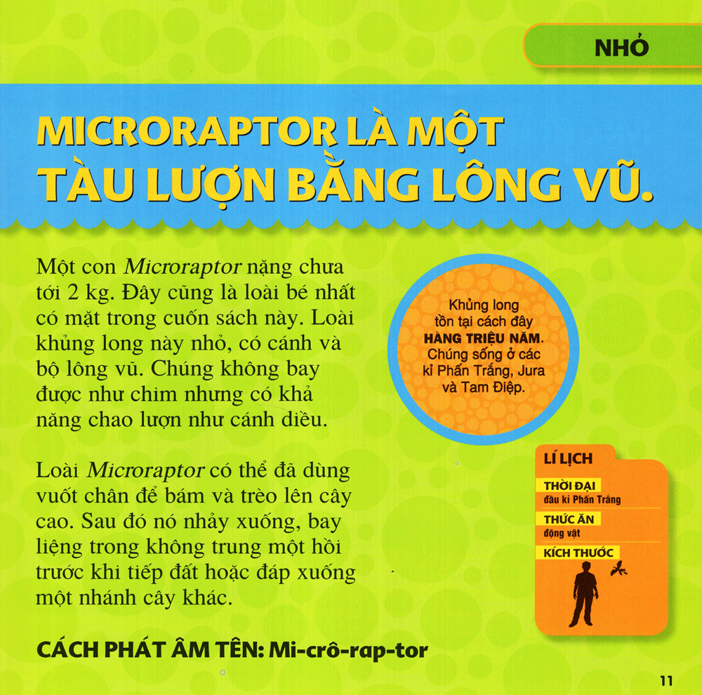 cuốn sách lớn đầu tiên của tớ - khủng long (tái bản 2023) - Ảnh 8