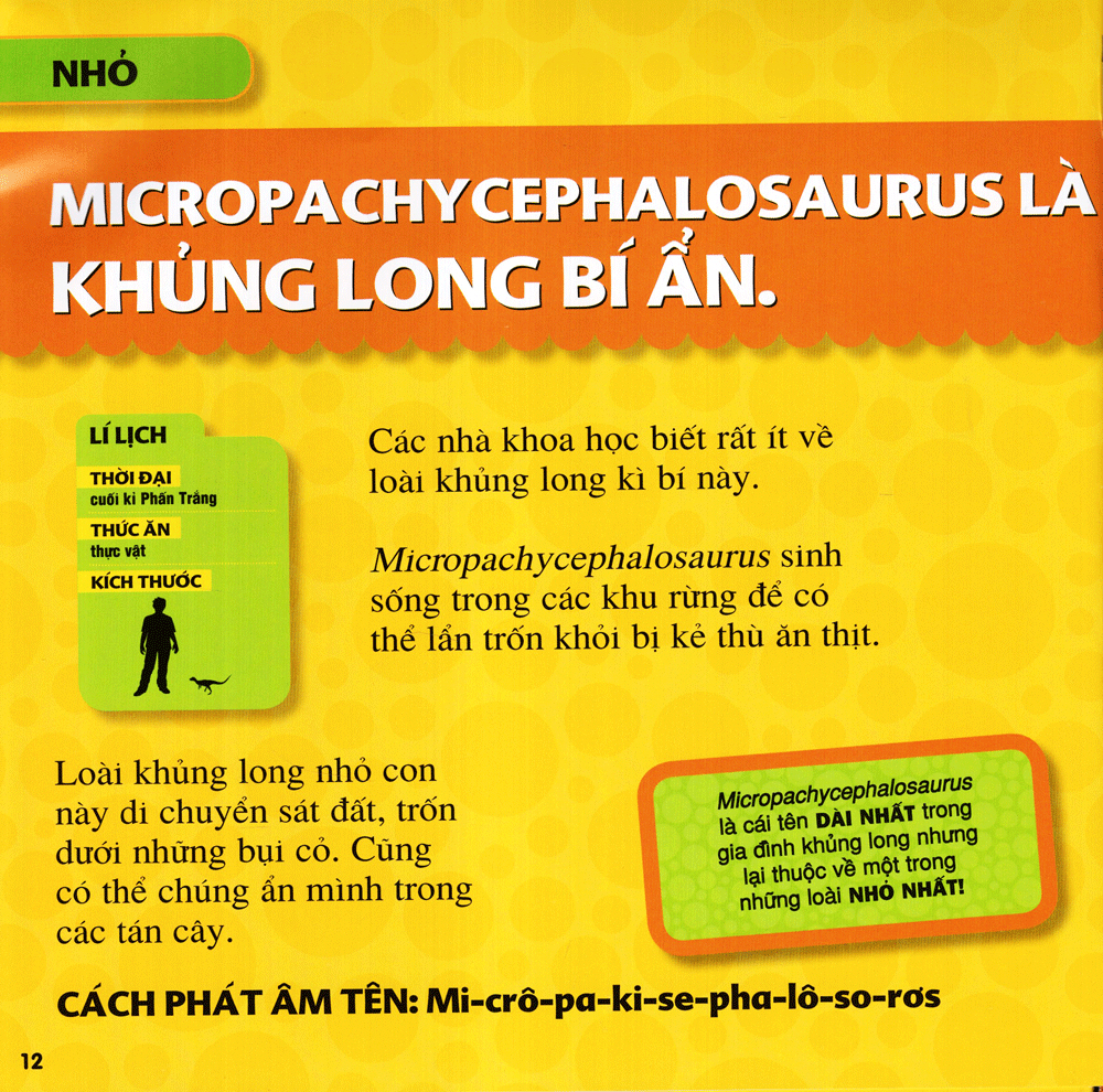 cuốn sách lớn đầu tiên của tớ - khủng long (tái bản 2023) - Ảnh 9