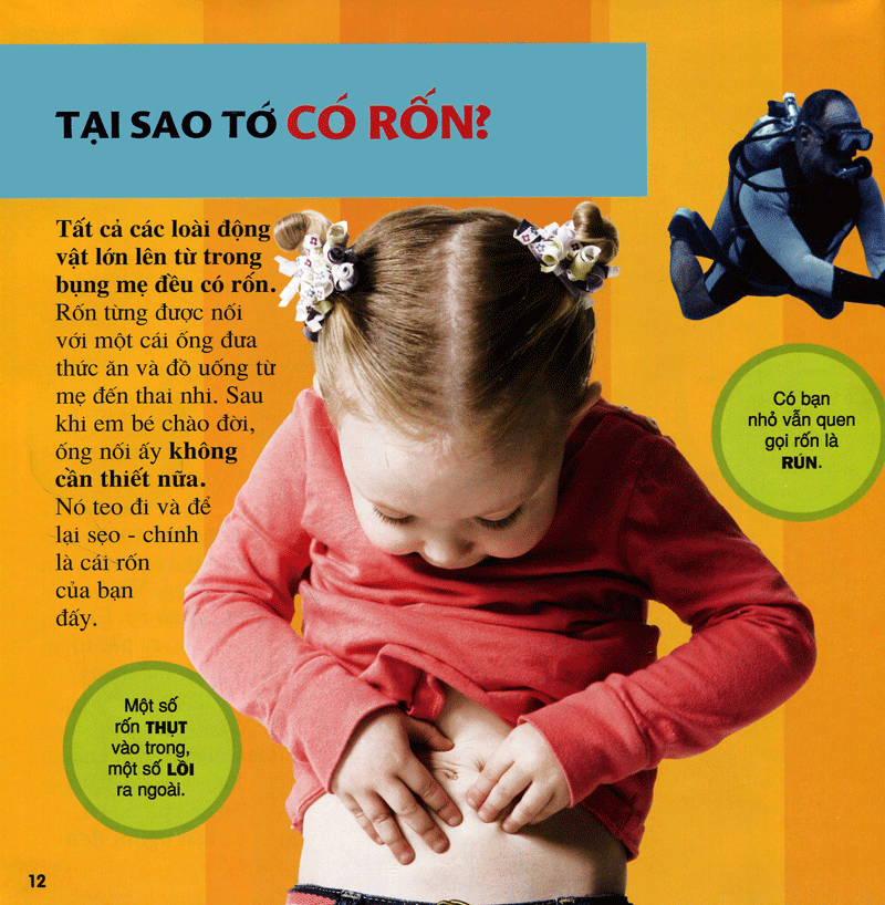 cuốn sách lớn đầu tiên của tớ - những câu hỏi tại sao - bìa cứng (tái bản 2024) - Ảnh 9