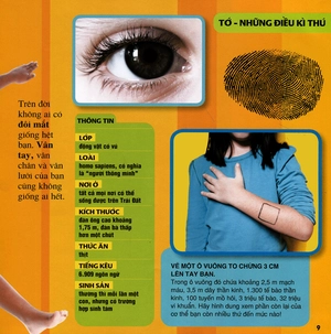 cuốn sách lớn đầu tiên của tớ - những câu hỏi tại sao (tái bản 2019) - Ảnh 5