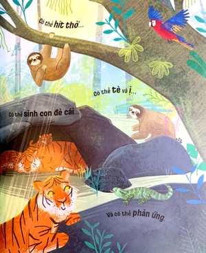 cuốn sách nhỏ, ý tưởng lớn - triết học là gì? - Ảnh 7