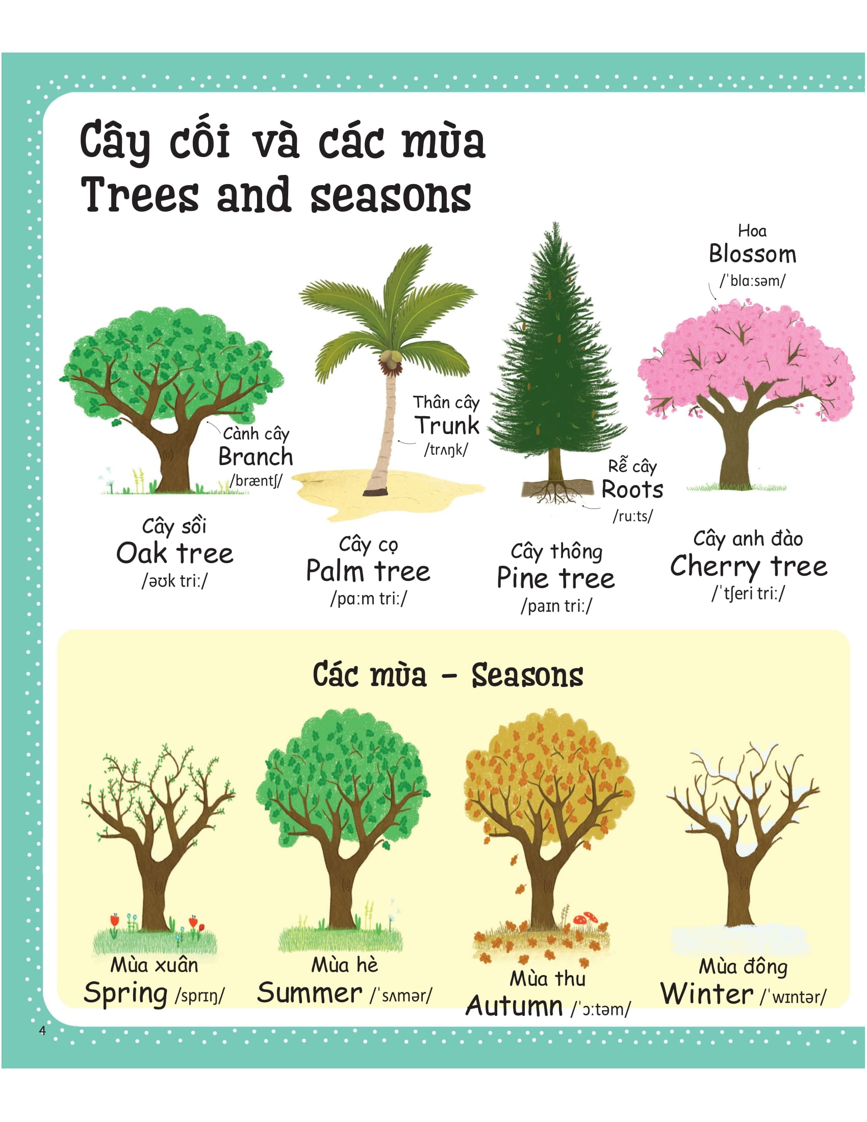 cuốn sách từ vựng đầu tiên của tôi - my first word book- thiên nhiên - nature - Ảnh 2