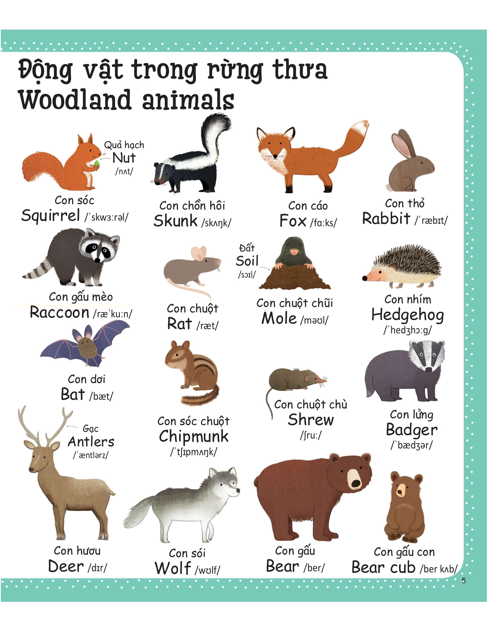 cuốn sách từ vựng đầu tiên của tôi - my first word book- thiên nhiên - nature - Ảnh 3