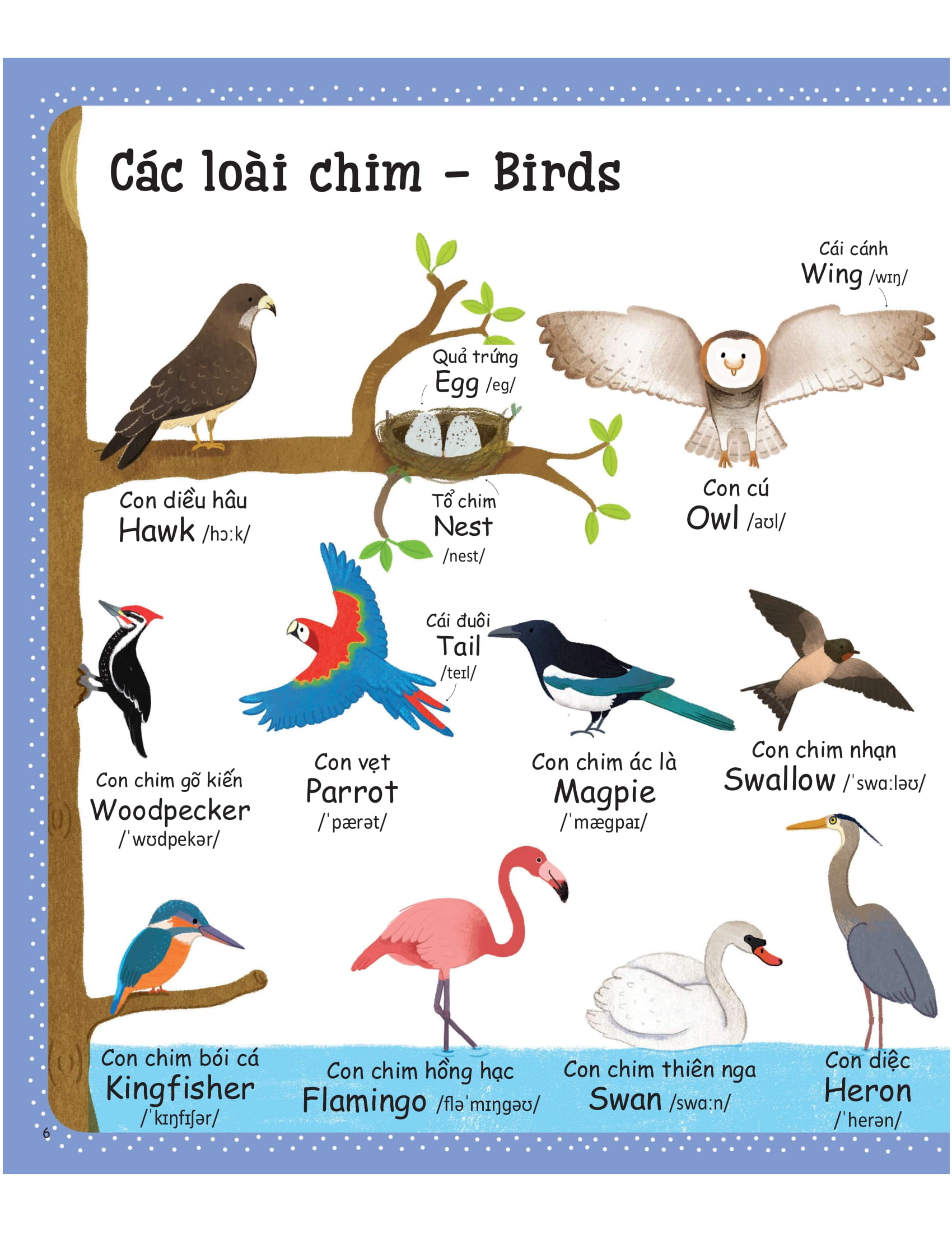 cuốn sách từ vựng đầu tiên của tôi - my first word book- thiên nhiên - nature - Ảnh 4