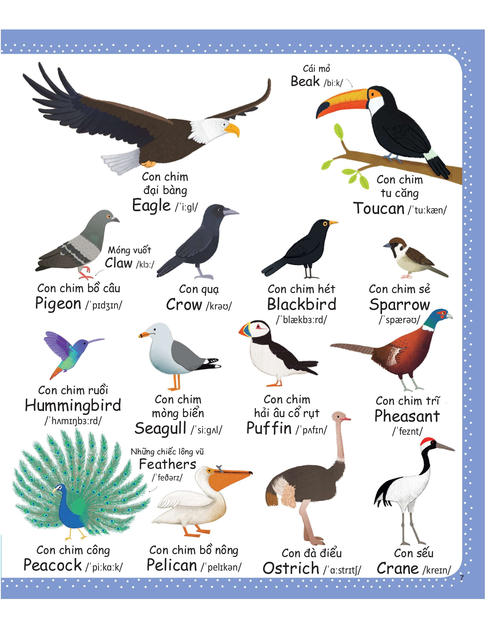 cuốn sách từ vựng đầu tiên của tôi - my first word book- thiên nhiên - nature - Ảnh 5