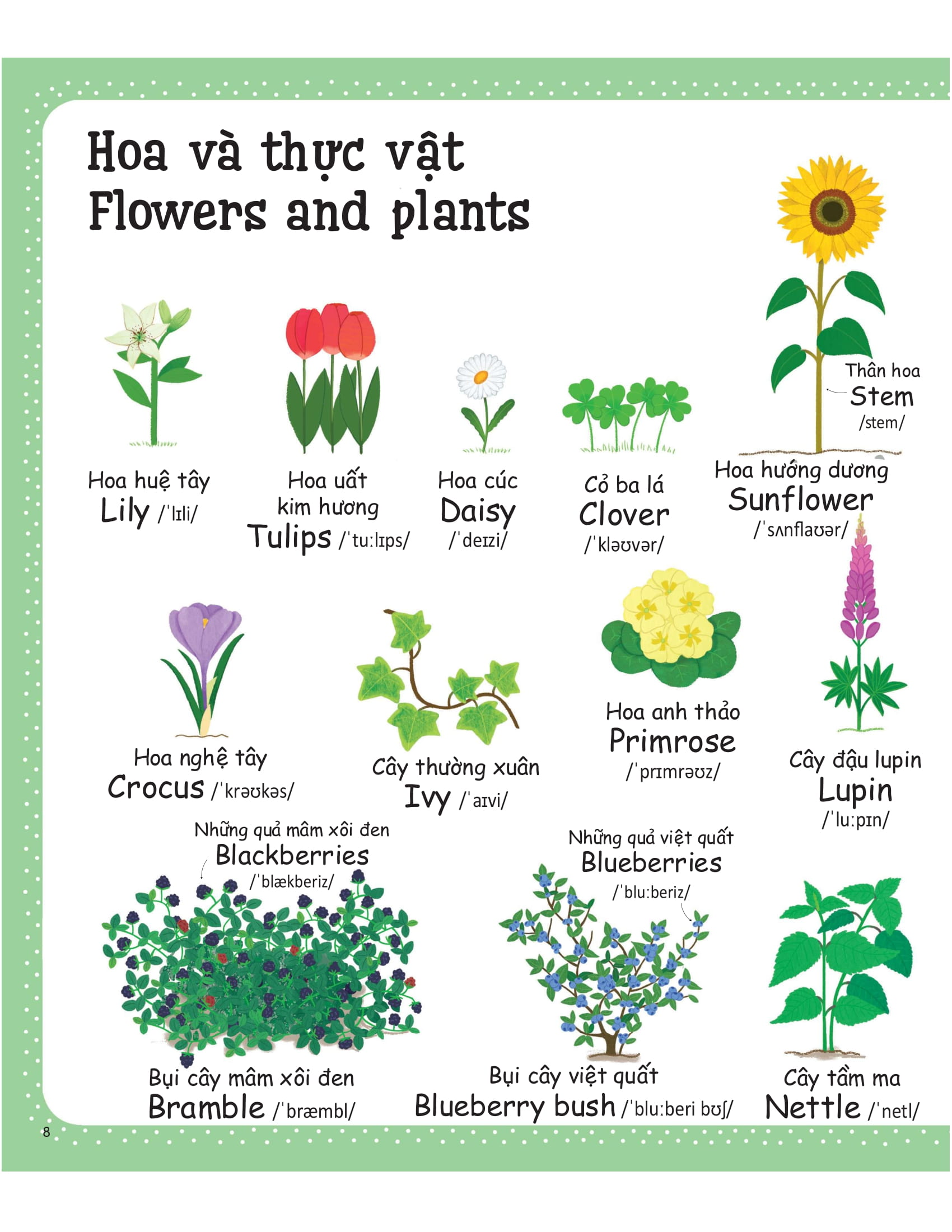 cuốn sách từ vựng đầu tiên của tôi - my first word book- thiên nhiên - nature - Ảnh 6