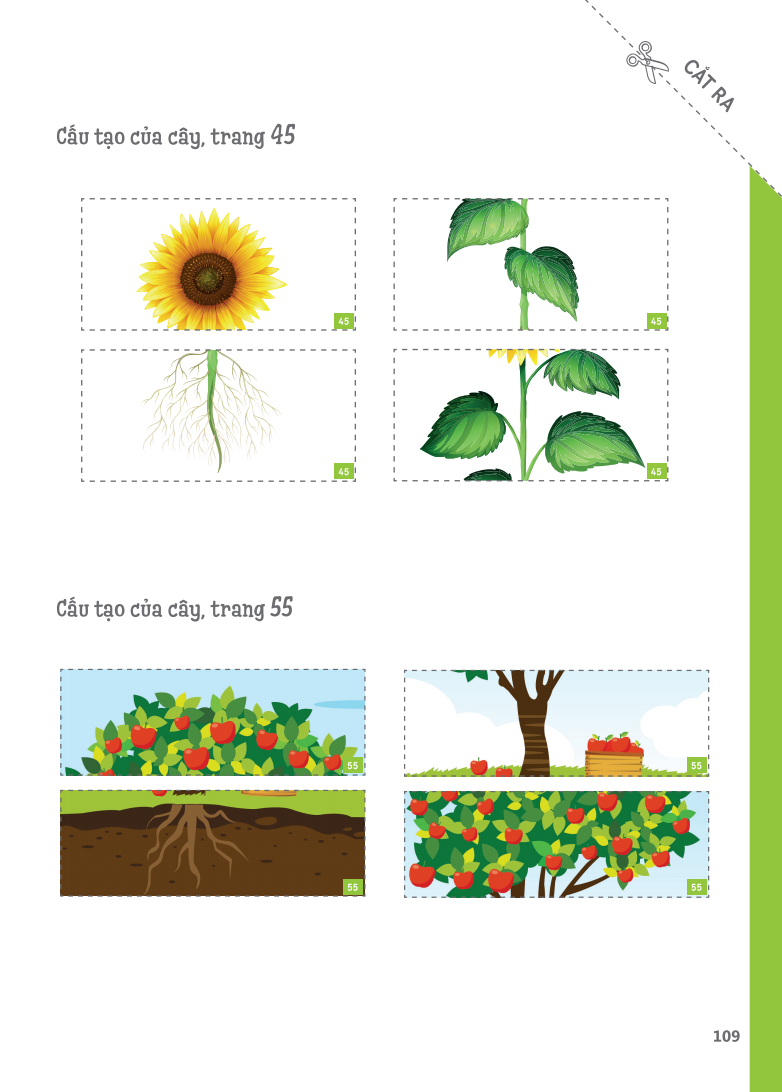 cuốn sổ lớn montessori về khám phá khoa học (bìa mềm) - Ảnh 15