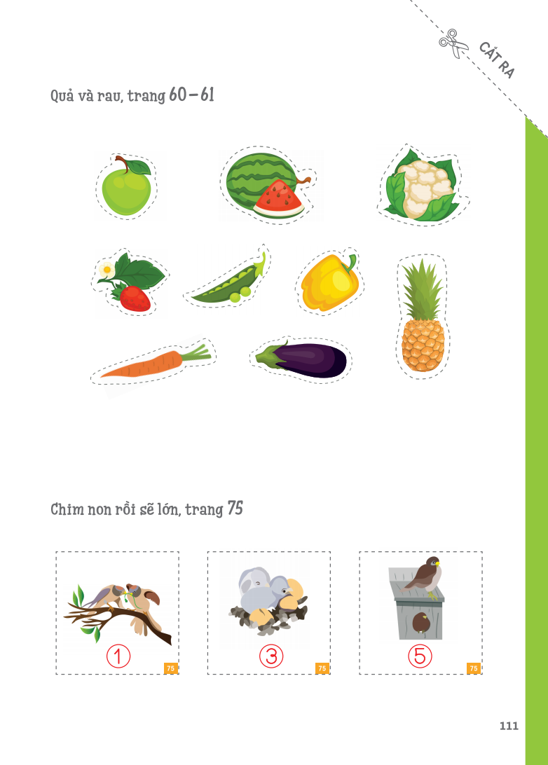 cuốn sổ lớn montessori về khám phá khoa học (bìa mềm) - Ảnh 16