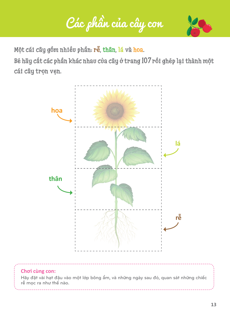 cuốn sổ lớn montessori - về khám phá thế giới (tái bản 2023) - Ảnh 11