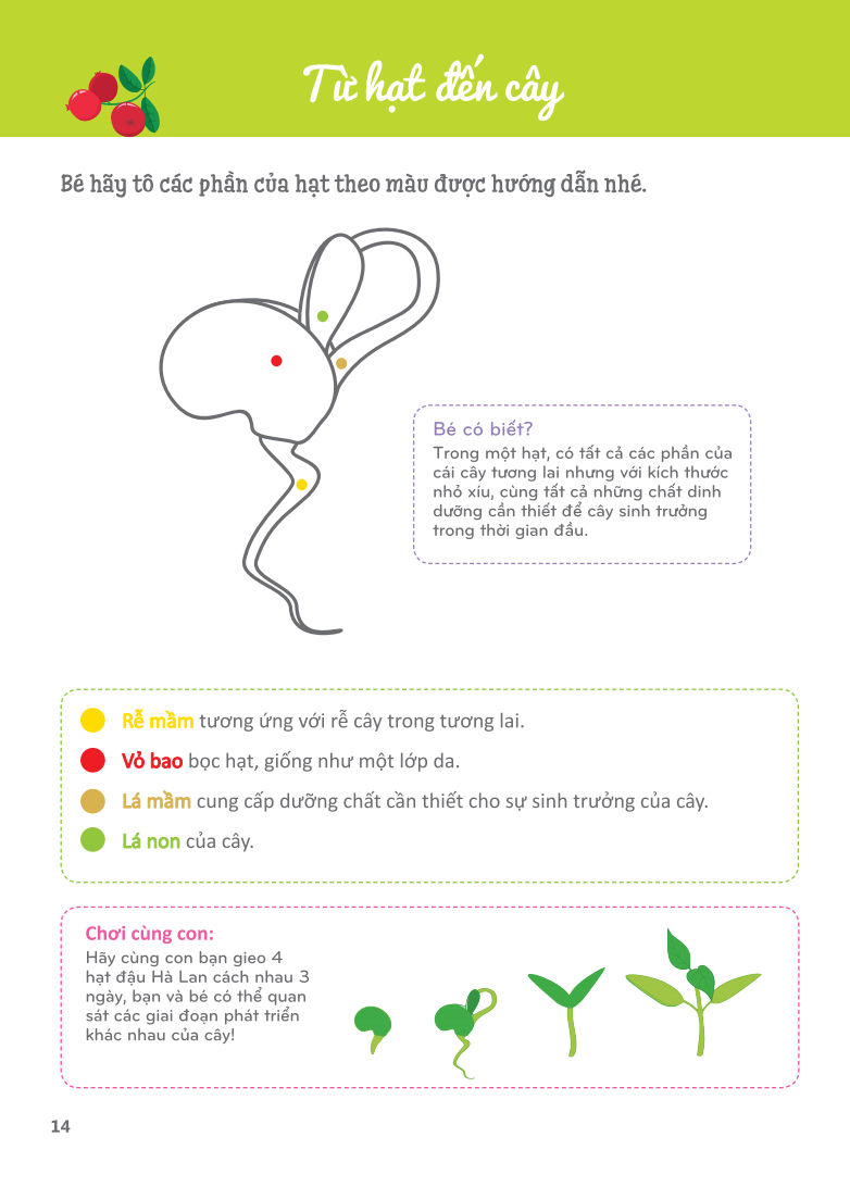 cuốn sổ lớn montessori - về khám phá thế giới (tái bản 2023) - Ảnh 12