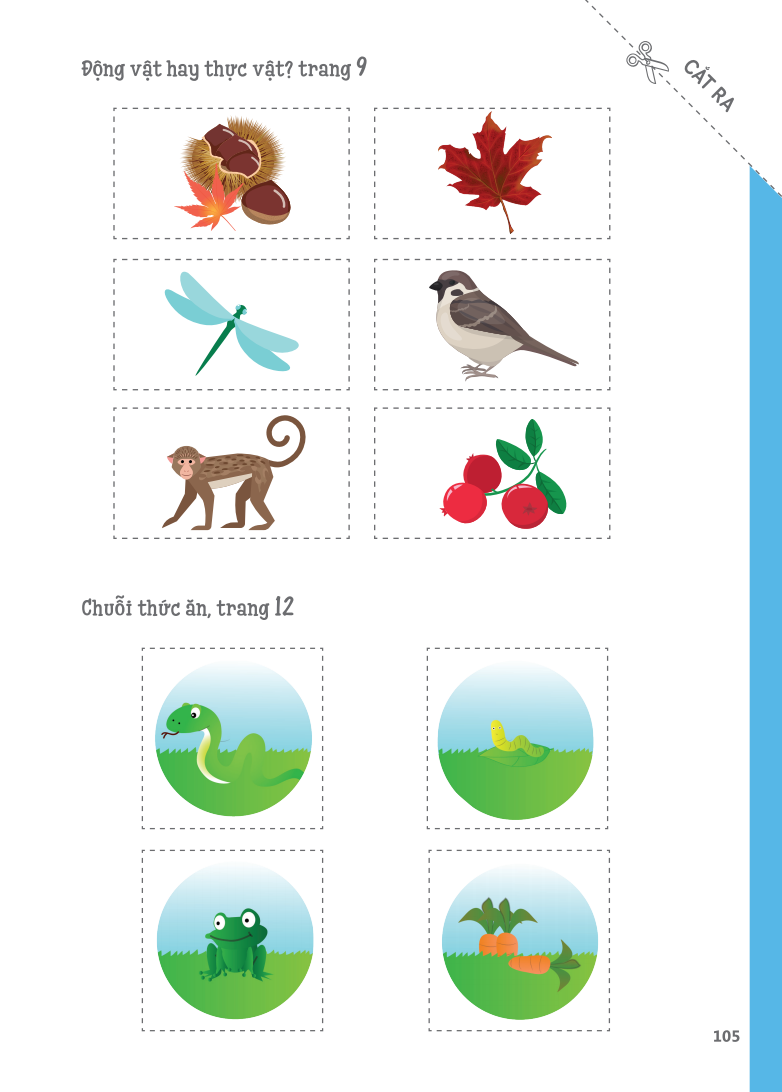 cuốn sổ lớn montessori - về khám phá thế giới (tái bản 2023) - Ảnh 14