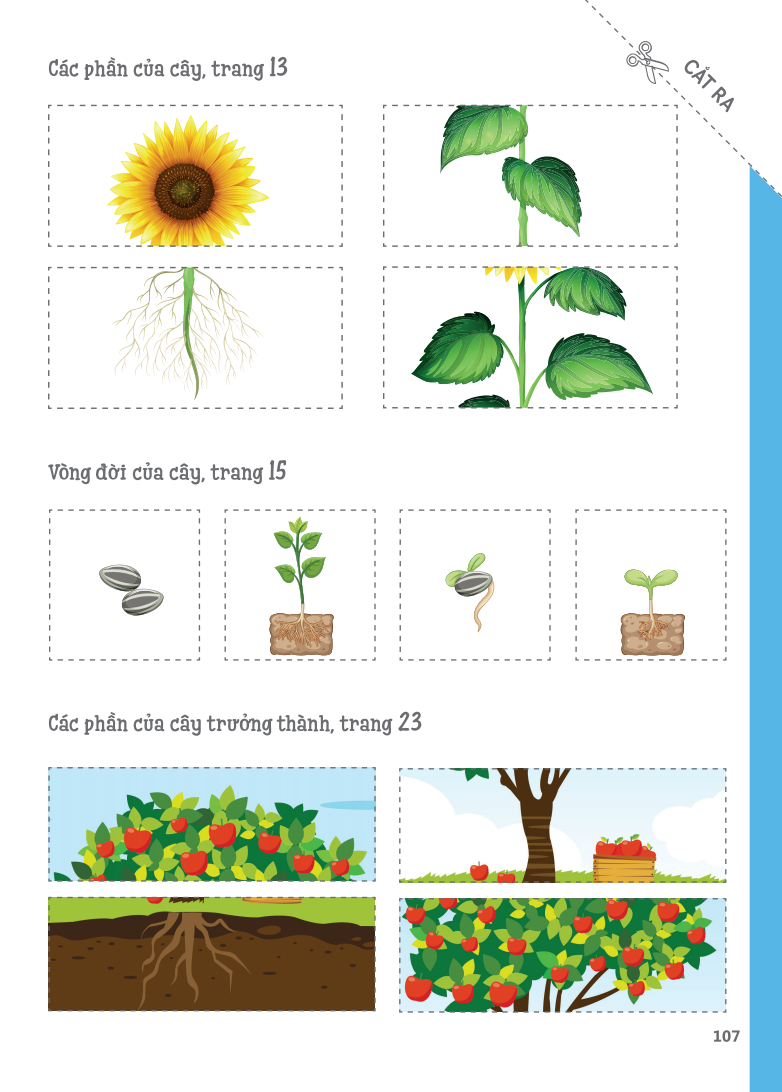 cuốn sổ lớn montessori - về khám phá thế giới (tái bản 2023) - Ảnh 15