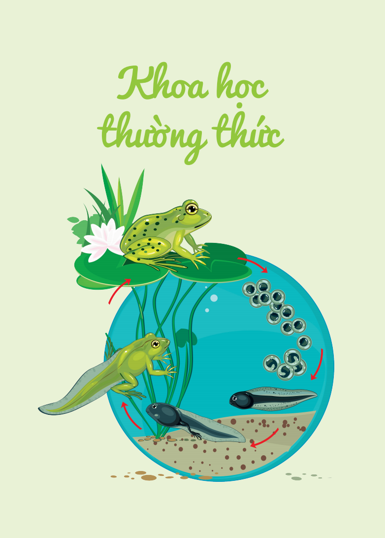 cuốn sổ lớn montessori - về khám phá thế giới (tái bản 2023) - Ảnh 5