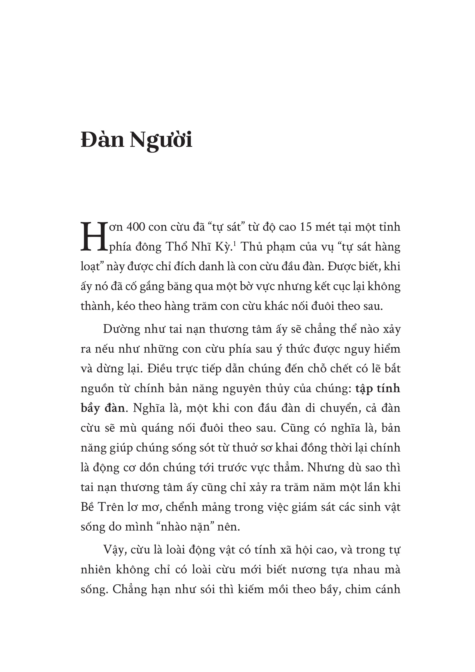 Cừu Đen - Ảnh 7