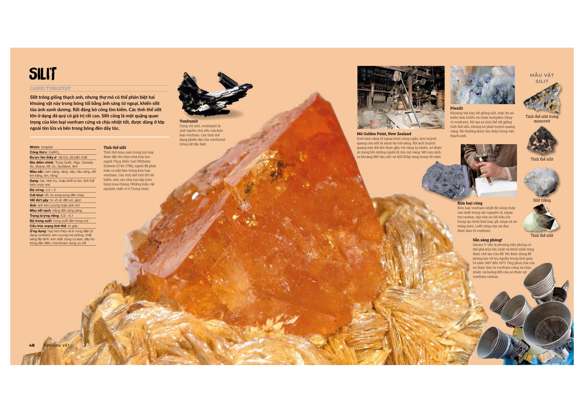 đá quý và khoáng sản - bìa cứng (tái bản) - Ảnh 7