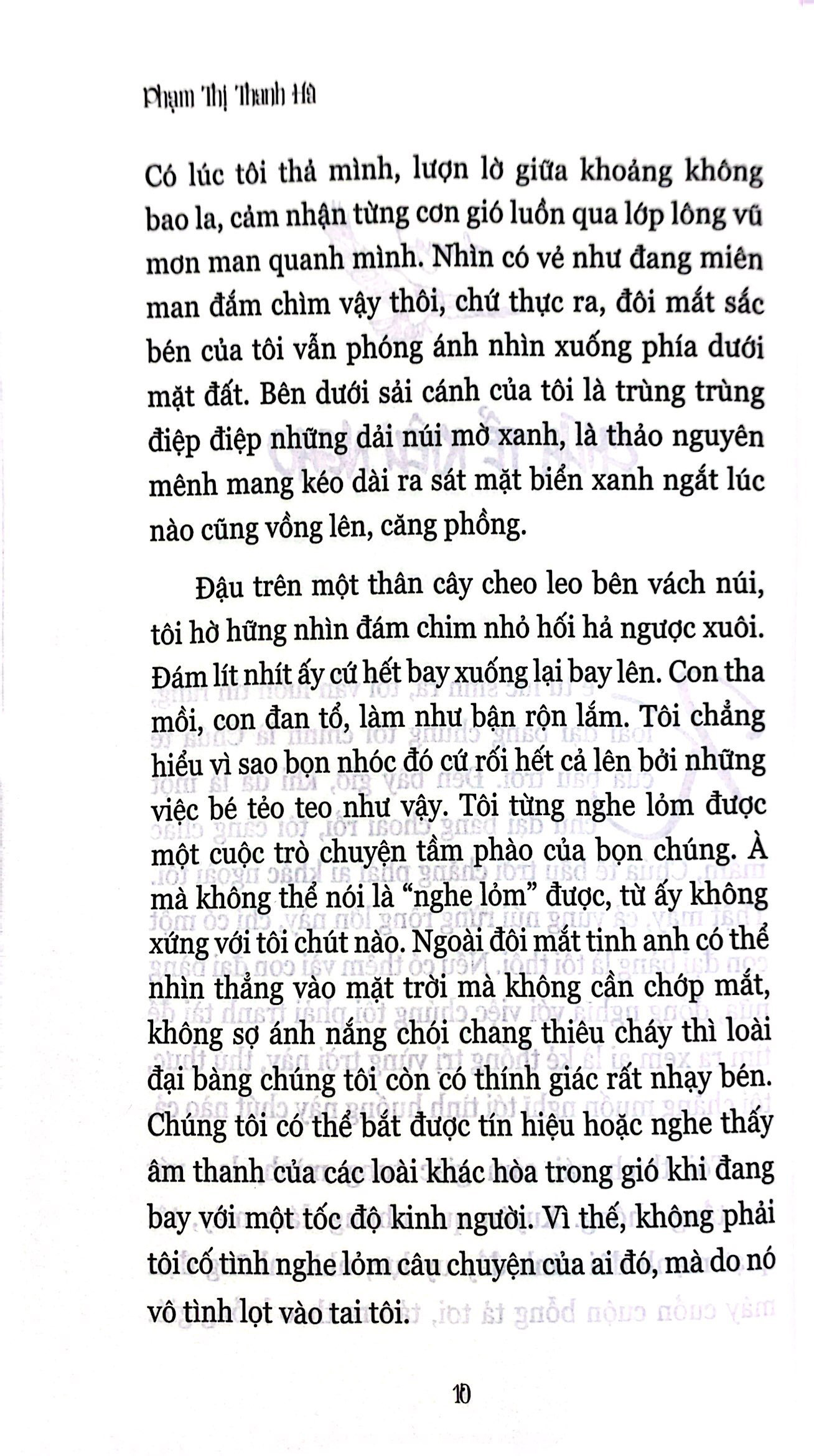 đại bàng tái sinh - Ảnh 7