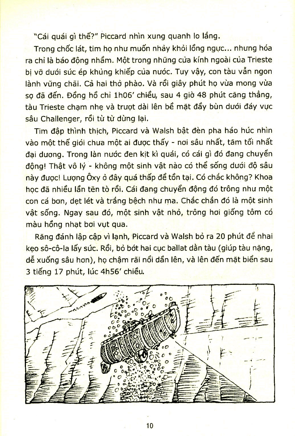 đại dương khó thương (tái bản 2020) - Ảnh 6